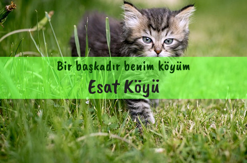 Esat Köyü