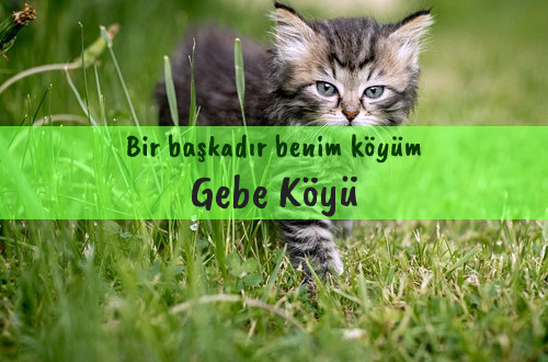 Gebe Köyü