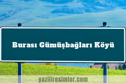 Burası Gümüşbağları Köyü