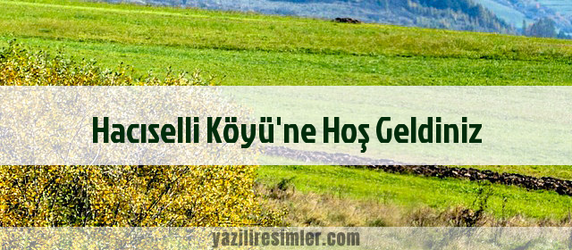 Hacıselli Köyü'ne Hoş Geldiniz