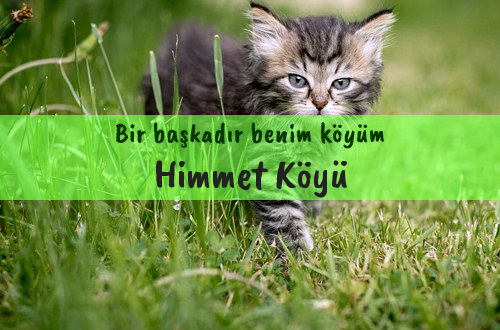 Himmet Köyü