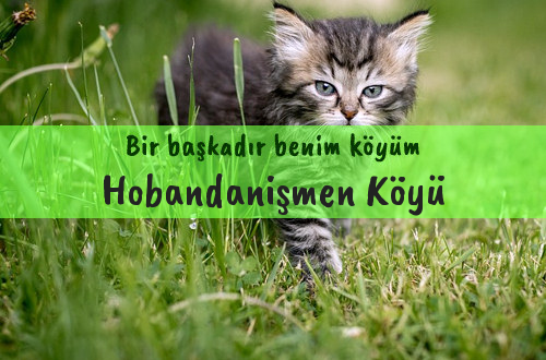 Hobandanişmen Köyü