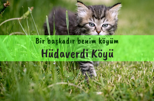 Hüdaverdi Köyü