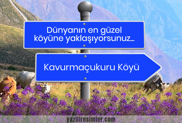 Kavurmaçukuru Köyü