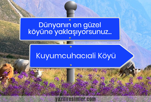 Kuyumcuhacıali Köyü