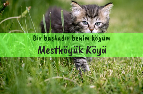 Mesthöyük Köyü