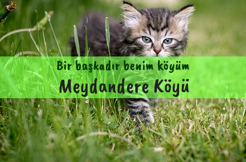 Meydandere Köyü