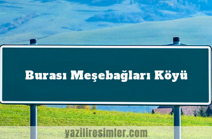 Burası Meşebağları Köyü