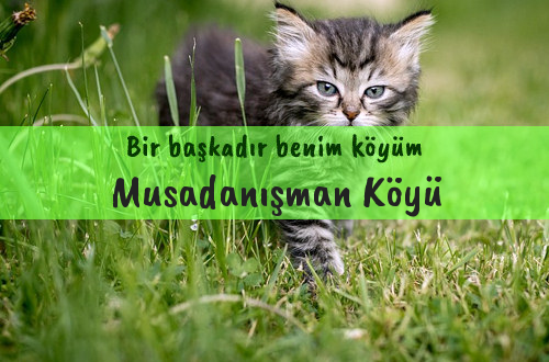 Musadanışman Köyü