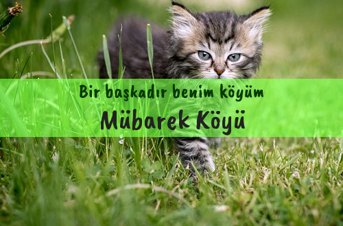 Mübarek Köyü