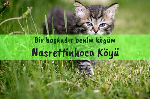 Nasrettinhoca Köyü