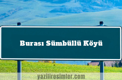 Burası Sümbüllü Köyü