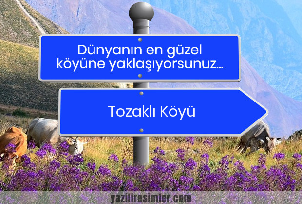 Tozaklı Köyü