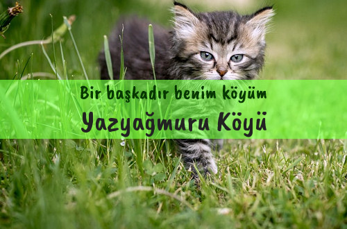 Yazyağmuru Köyü