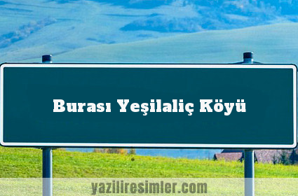 Burası Yeşilaliç Köyü