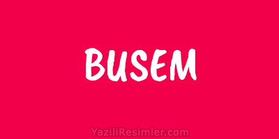 BUSEM