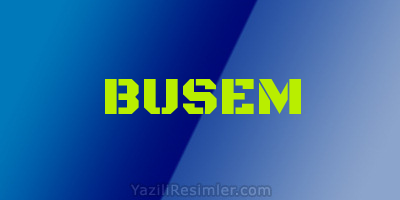 BUSEM
