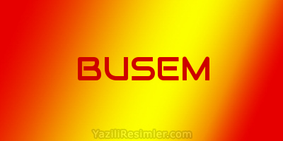 BUSEM