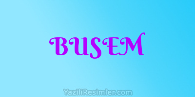 BUSEM