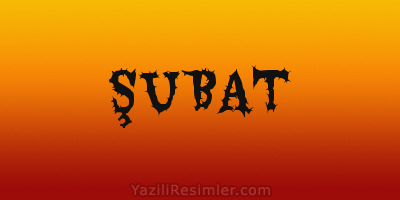 ŞUBAT