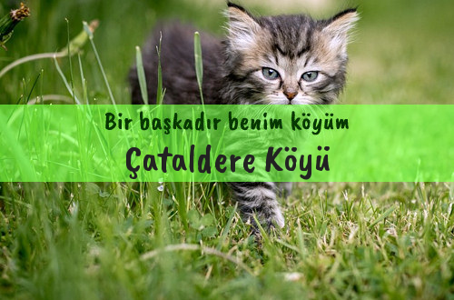 Çataldere Köyü