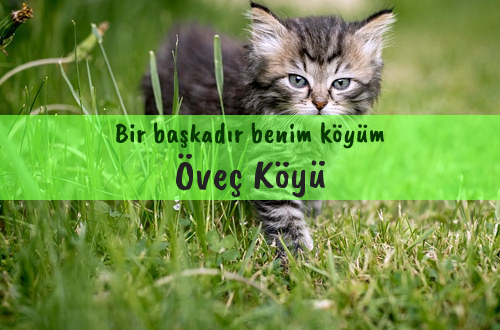 Öveç Köyü